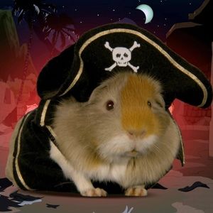 Meet your Posher, Daniele